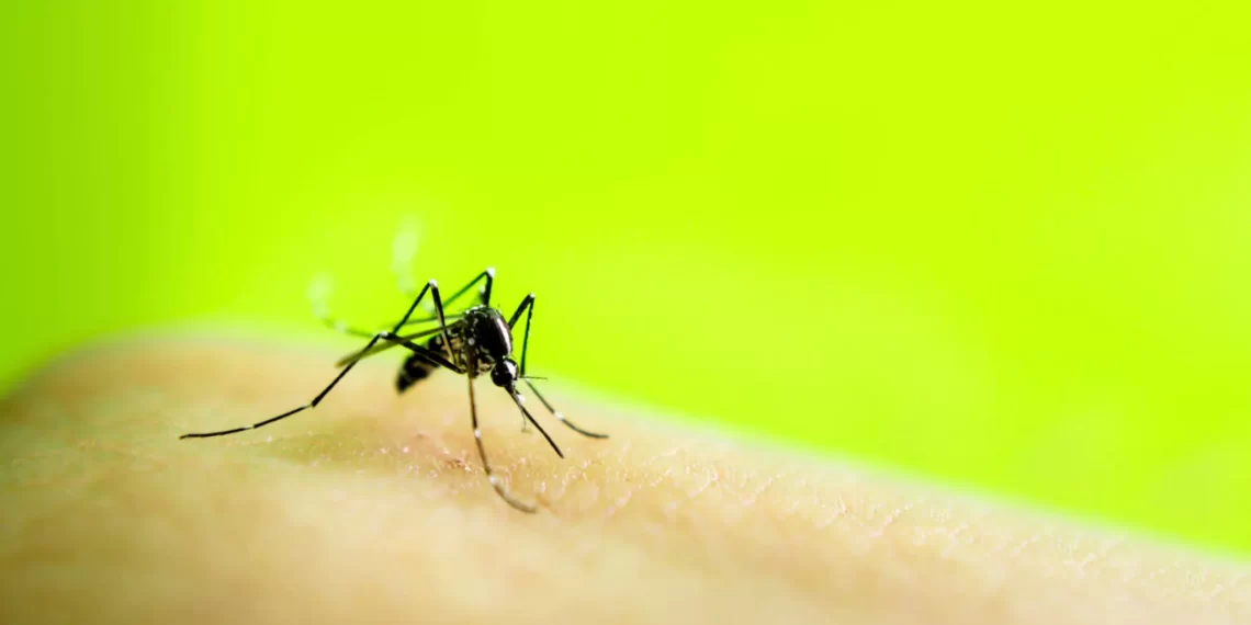 Japanese Encephalitis Outbreak