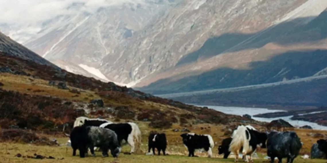 Nepal’s New Conservation Bill