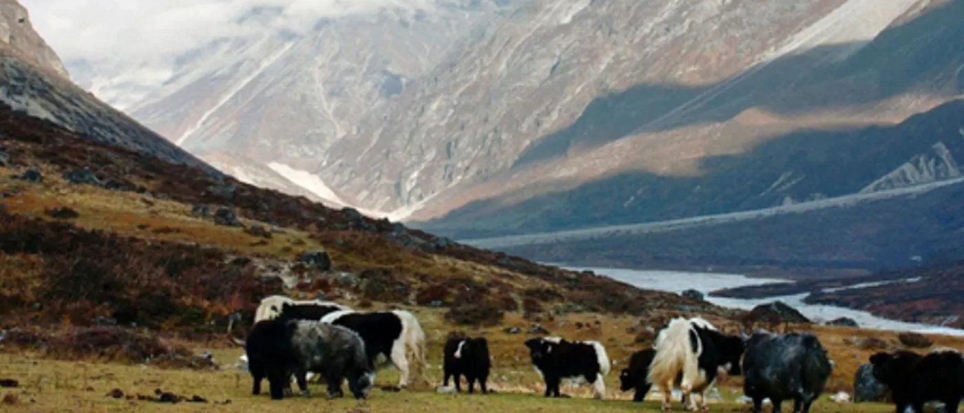 Nepal’s New Conservation Bill