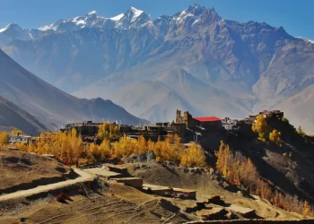 Mustang cleanup concludes