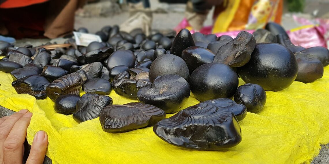 Shaligrams in a changing river