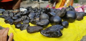 Shaligrams in a changing river