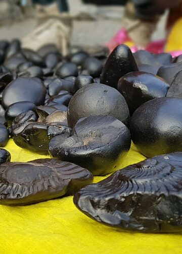 Shaligrams in a changing river