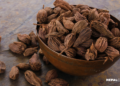 Nepal leads global production of ‘large cardamom’