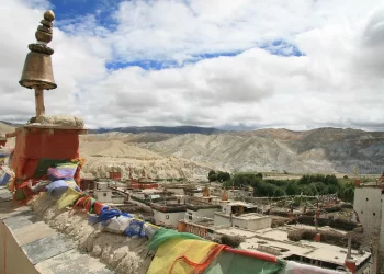 Kingdom of Mustang