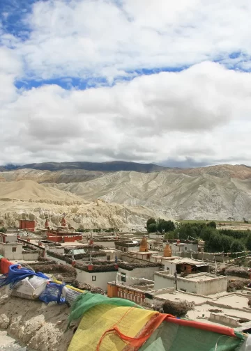 Kingdom of Mustang