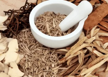 Rethinking Nepal’s medical pluralism