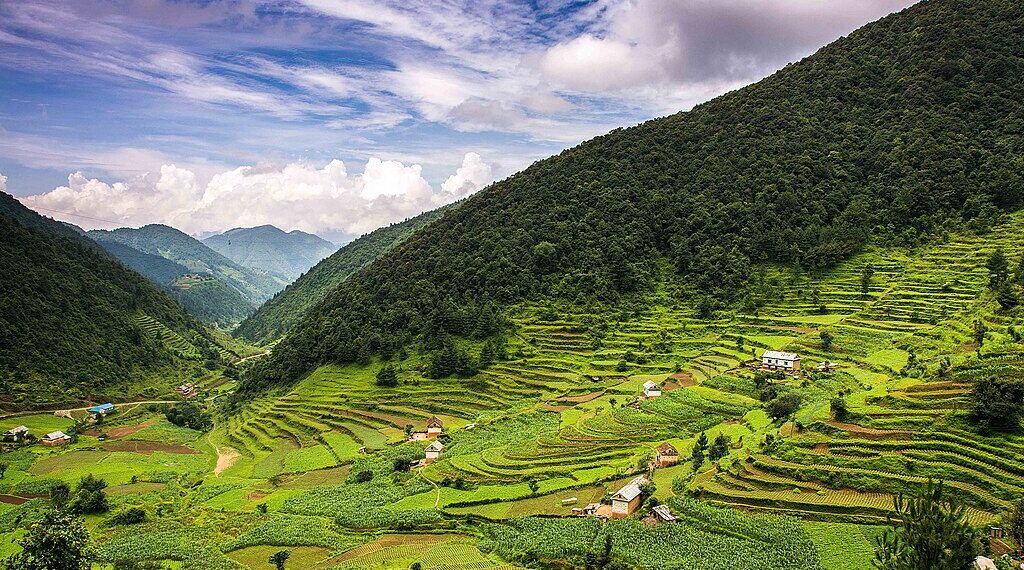 Asar 15: Rain, Rice, and Dahi Chiura Bliss