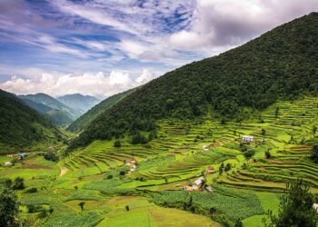 Asar 15: Rain, Rice, and Dahi Chiura Bliss