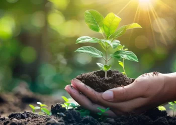 Sagarmatha Tree Plantation Mega Campaign