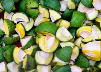 Achar Across Borders: The Tangy Tale of Homemade Pickles