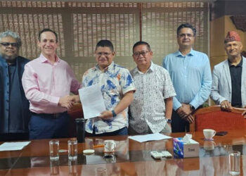 NIIF and Dolma Fund to collaborate on a 90 megawatt solar project