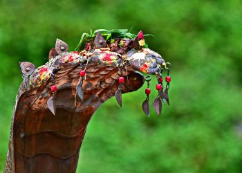 The Serpent’s Story: Between Myth, Fear, and Nature  