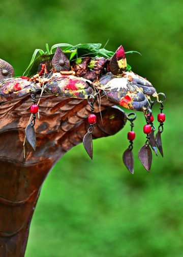 The Serpent’s Story: Between Myth, Fear, and Nature